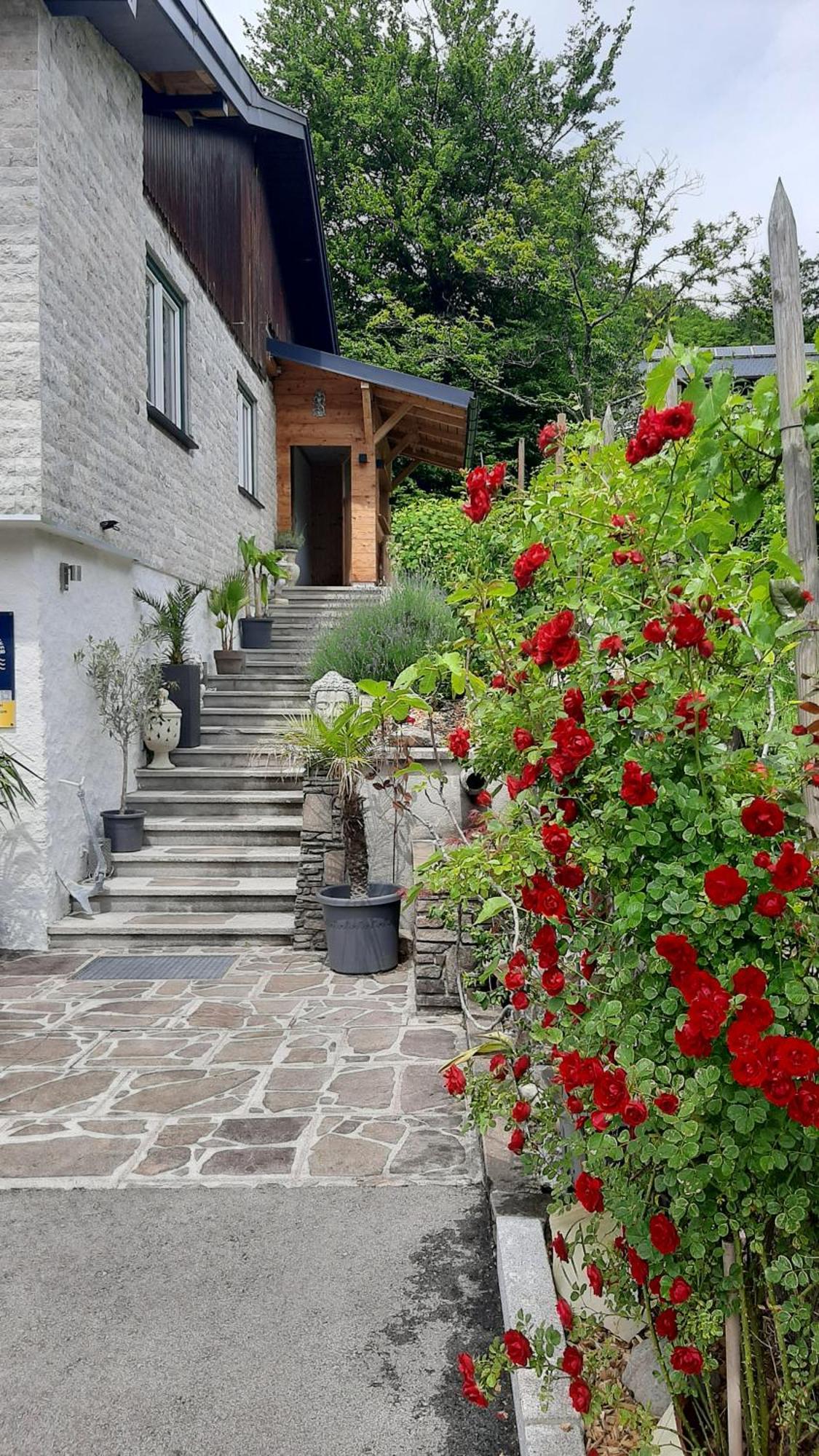 Ferienhaus Goldener Anker Унтерах-ам-Аттерзе Екстер'єр фото